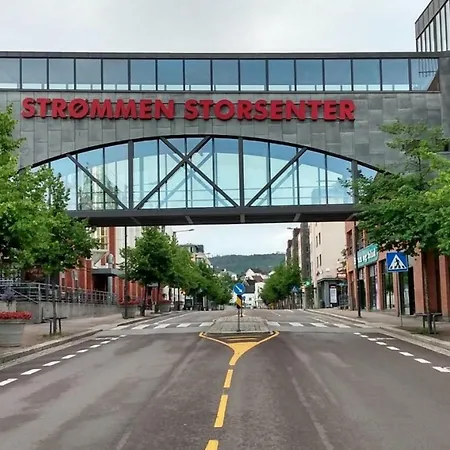 公寓 Fully Furnished - Lillestrom-strommen